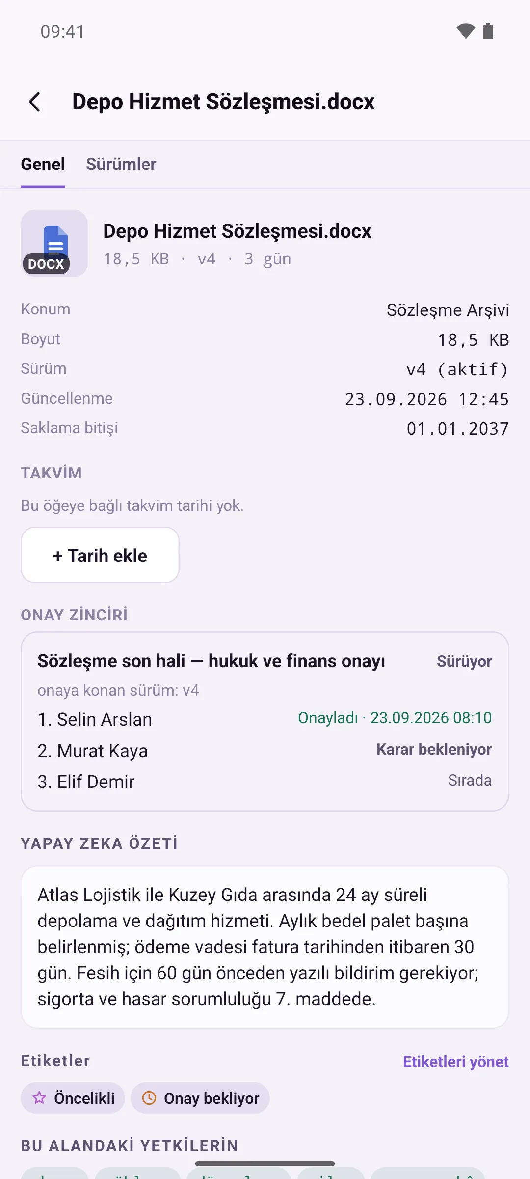 Dosya ayrıntısı, Genel sekmesi