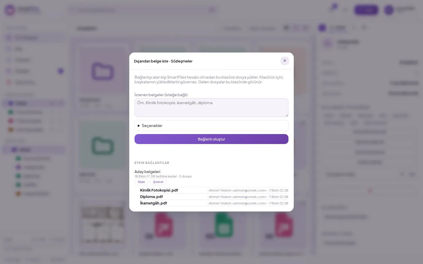 External document request window: requested documents, options and files from the active link