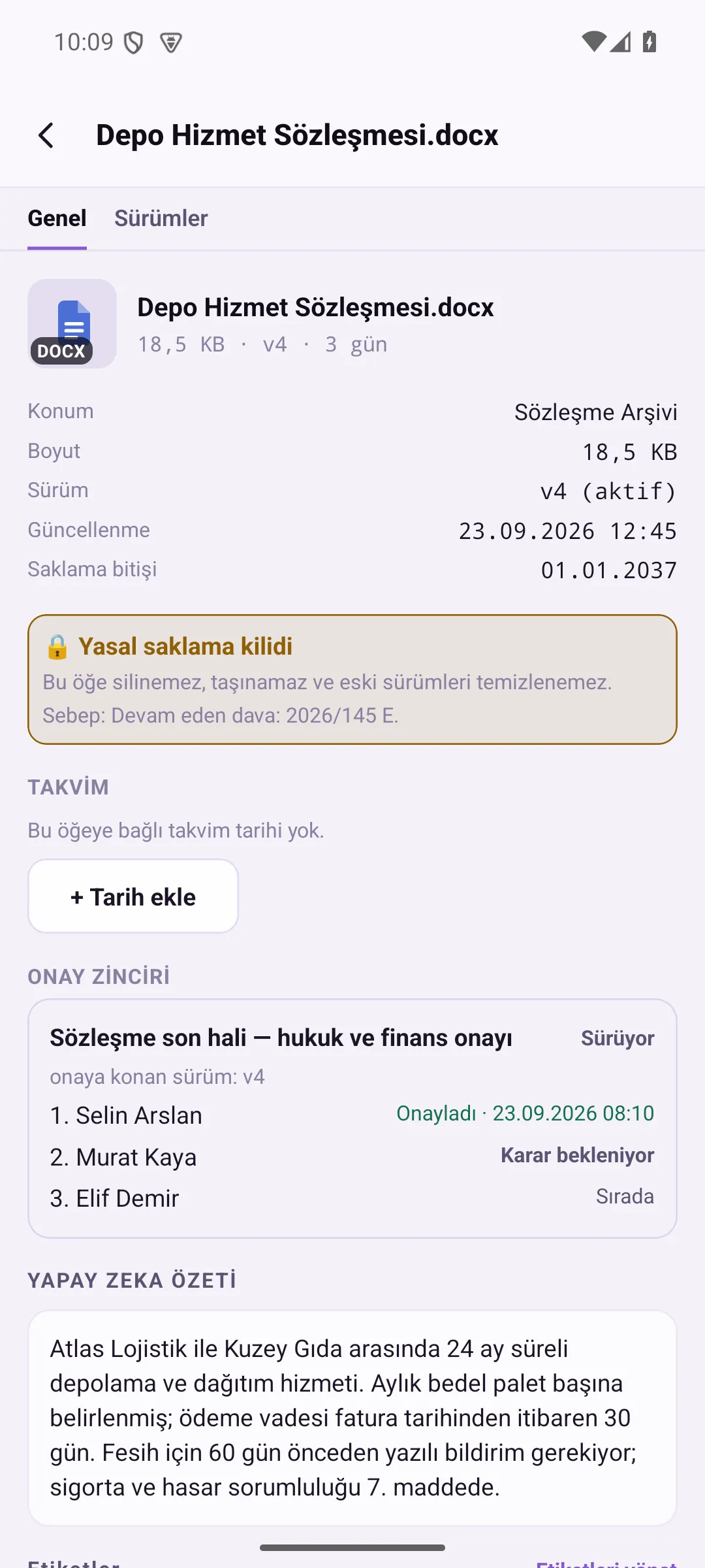 Legal hold lock in file details