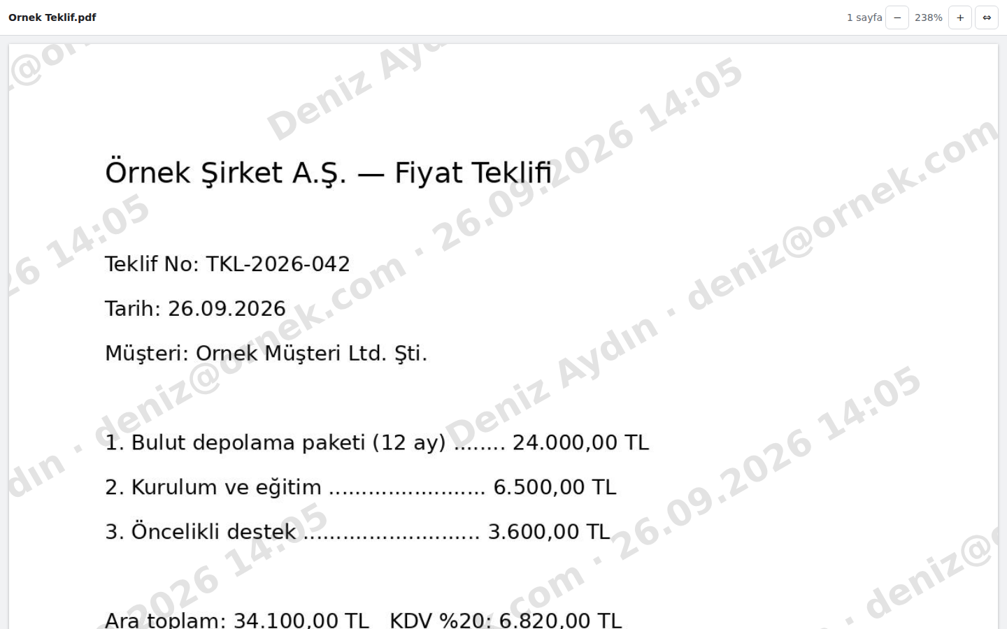 Yalnız görüntüleme bağlantısıyla açılan teklif: her sayfada alıcının adı, e-postası ve tarih filigran olarak görünür