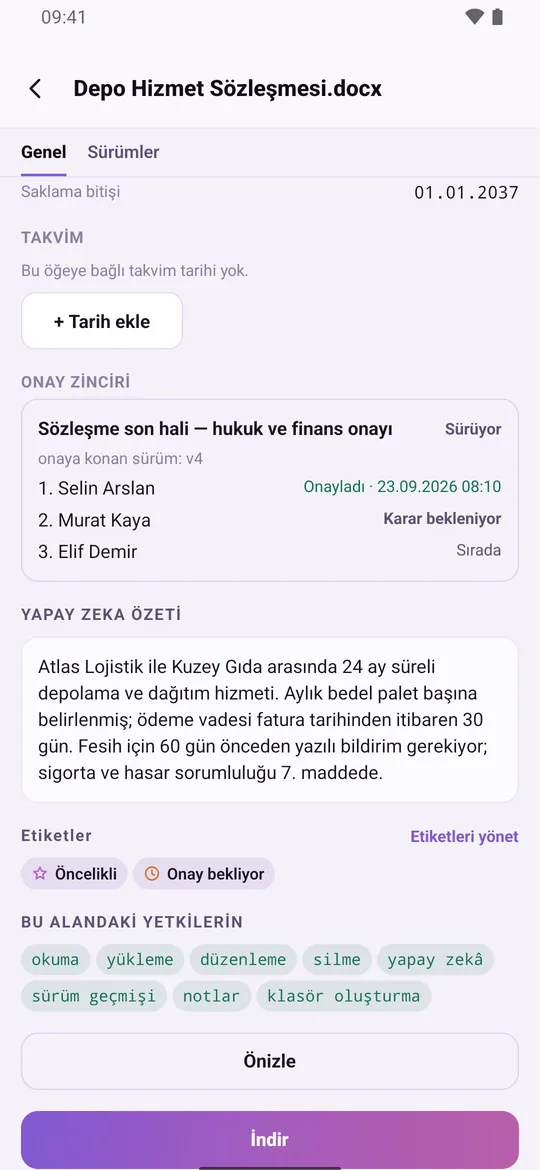 SmartFiles mobil uygulamasında dosya ayrıntısı: yapay zekâ özeti, etiketler ve kullanıcının bu alandaki yetkileri